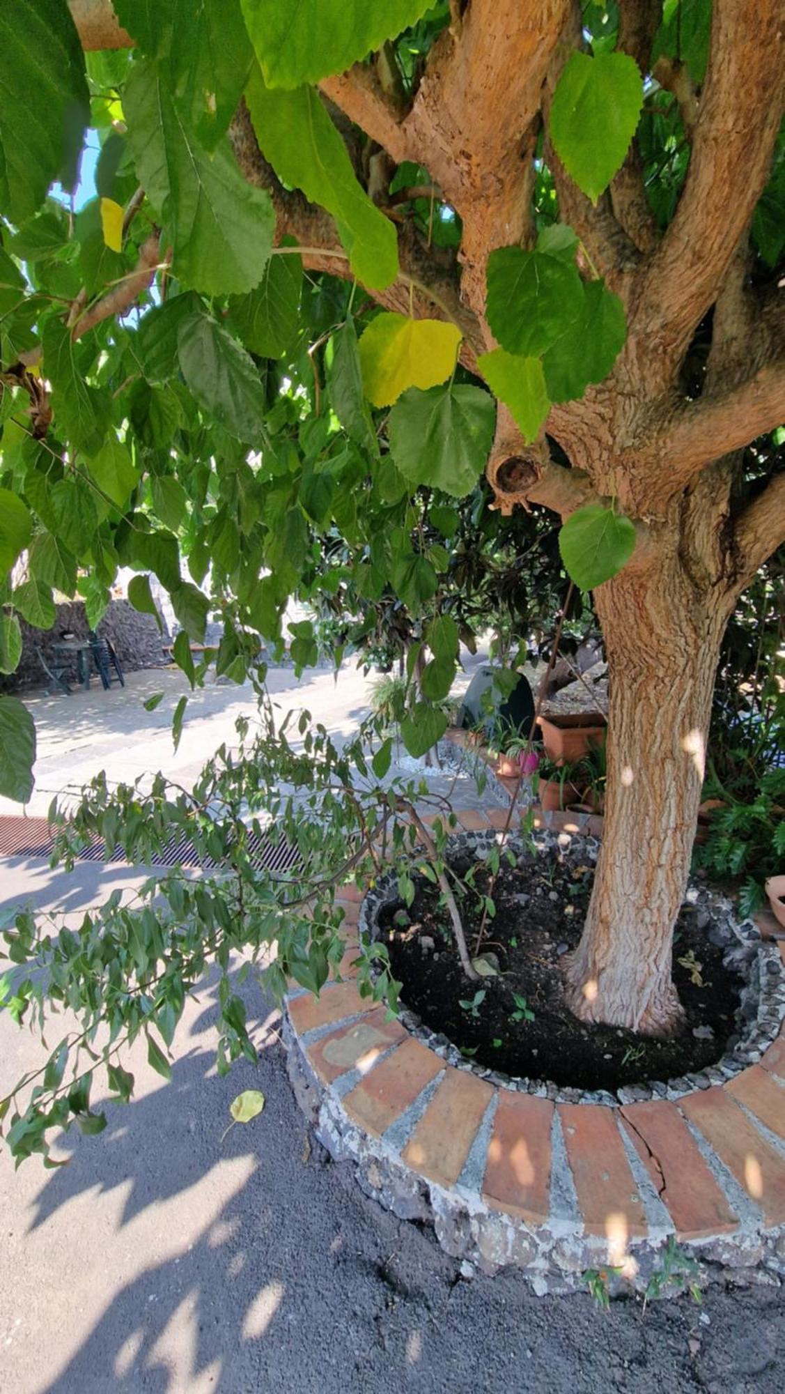Casa Della Zagara